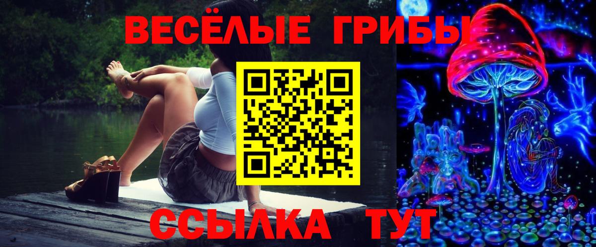 Кохма  Псилоцибиновые грибы GOLDEN TEACHER  Вход с VPN 