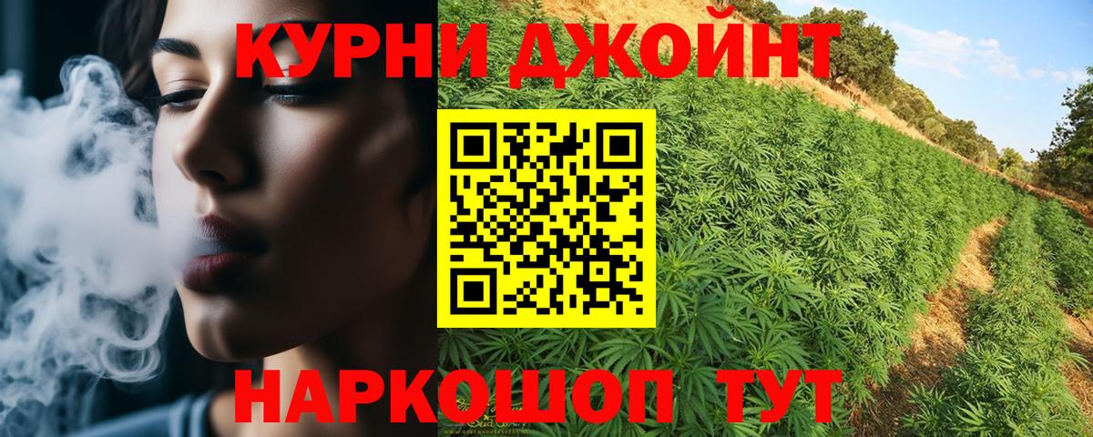 Шишки марихуана семена  Марихуана гибрид  Вход с VPN  Бошки Шишки план  Марихуана тримм  Кохма 